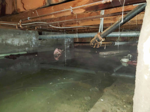 Trusted Endwell, NY Water damage restoration Experts