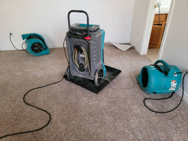 Best Flooded house restoration  in Endwell, NY