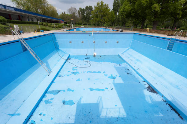 Best Mold removal after water damage  in Endwell, NY