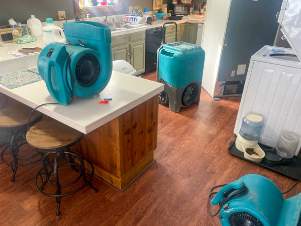 Best Commercial water damage restoration  in Endwell, NY