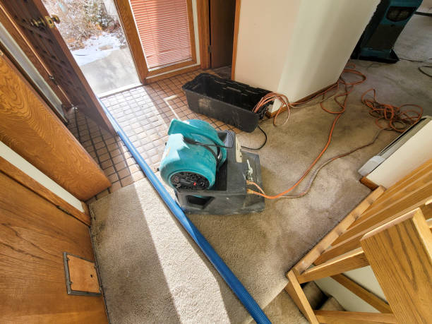 Best Mold removal after water damage  in Endwell, NY