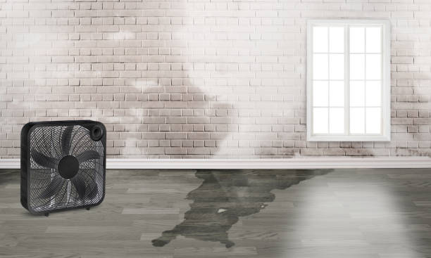 Best Flood damage cleanup  in Endwell, NY