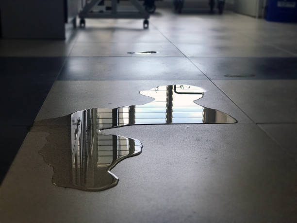 Best Professional water damage repair  in Endwell, NY