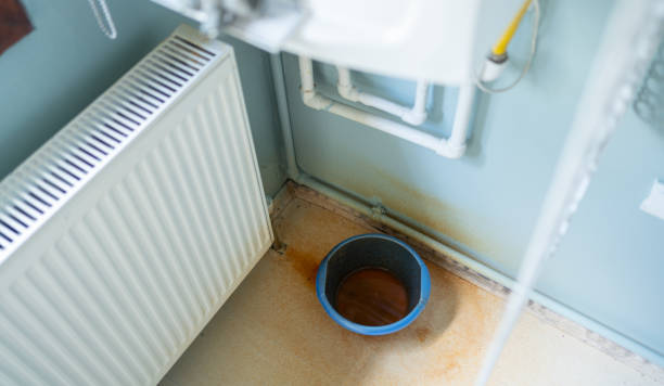 Best Ceiling water damage repair  in Endwell, NY