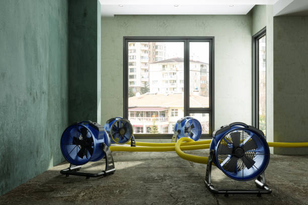 Best Professional water damage repair  in Endwell, NY